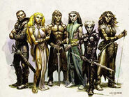 From left to right: a human, a sun elf, a wood elf, a moon elf, a drow, and a wild elf.