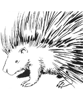 Porcupin MC2