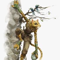 Tabaxi Forgotten Realms Wiki Fandom To start, simply click on the button to generate a series of random names. tabaxi forgotten realms wiki fandom