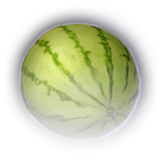 A ripened rotund sunmelon.