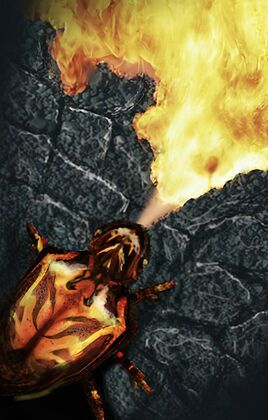 3e