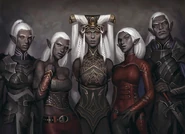 From left to right: Bladen'Kerst Baenre, Triel Baenre, Yvonnel Baenre, Vendes Baenre, and Dantrag Baenre.