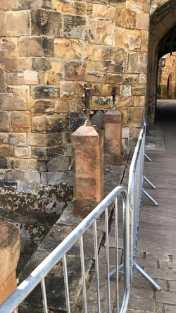 Plastic and plywood plinths with lion tops.