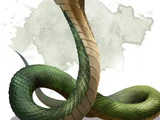 Naga