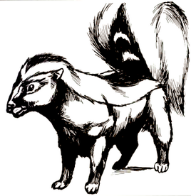 Skunk2e