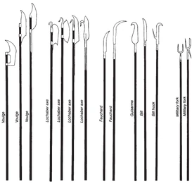 A simple illustration of all polearms derived from agricultural tools.
