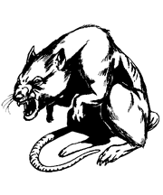 Rat