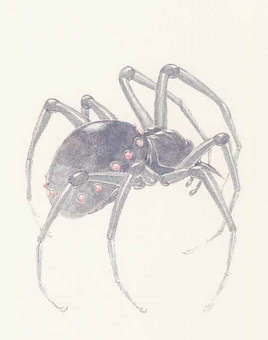 2e