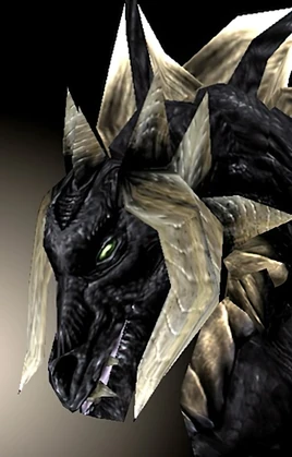 Black dragon portrait nwn