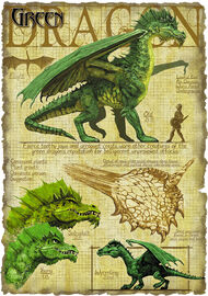 Green dragon anatomy - Richard Sardinha