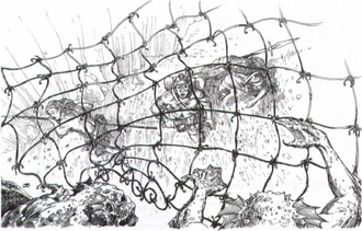 2e net ambush