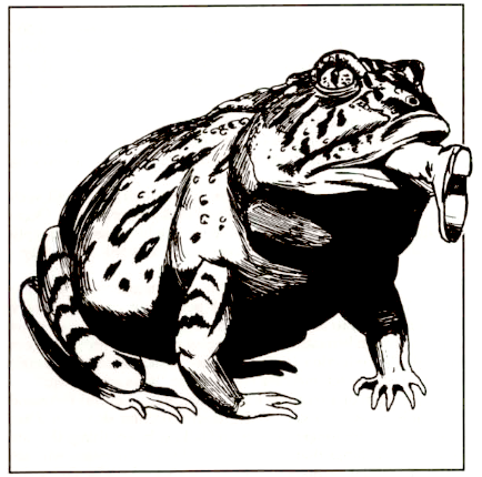 giant toad dandd