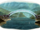 Moonbridge