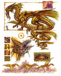 Gold dragon anatomy - Ron Spencer