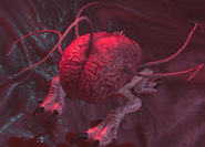 An early depiction of Us in Baldur's Gate III early access.