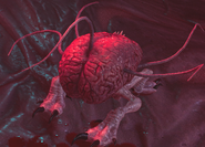 An intellect devourer from Baldur's Gate III.