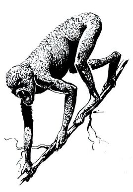 1e