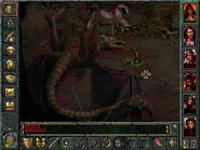 Dead Giant Wyvern.jpg (63 KB) A giant dead wyvern in Cloakwood as depicted in Baldur's Gate.