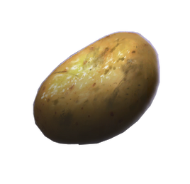 Potato