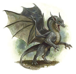 Gray dragon wyrmling 4e