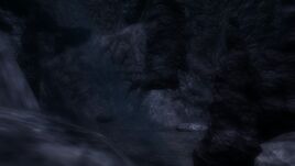 Spider Hatchery