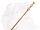 Staff of the magi
