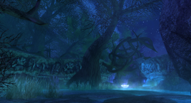 Witch Fen