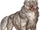 Cragmaw-wolf.webp