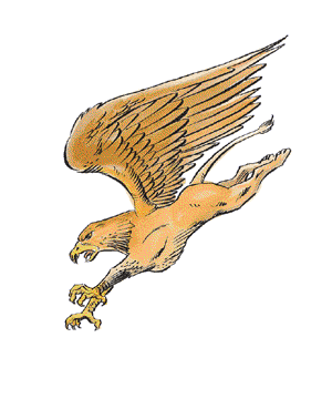 Griffon Forgotten Realms Wiki Fandom