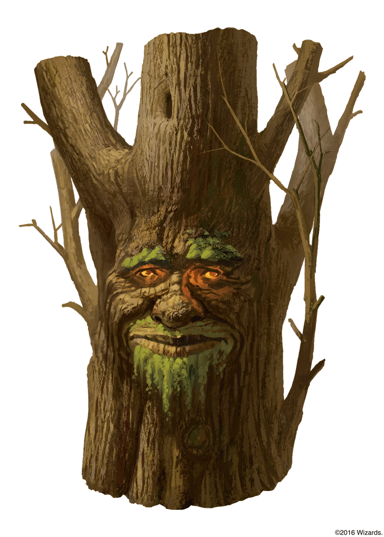 5e awaken mind