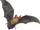 Bat