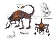 Arraccat concept art