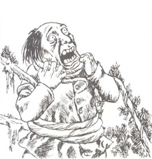 ChokeCreeper-MC2