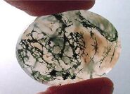 Translucent moss agate cabochon. Photo by Sterling Passion, used by permission.