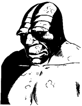 StoneGuardian mm2 p115