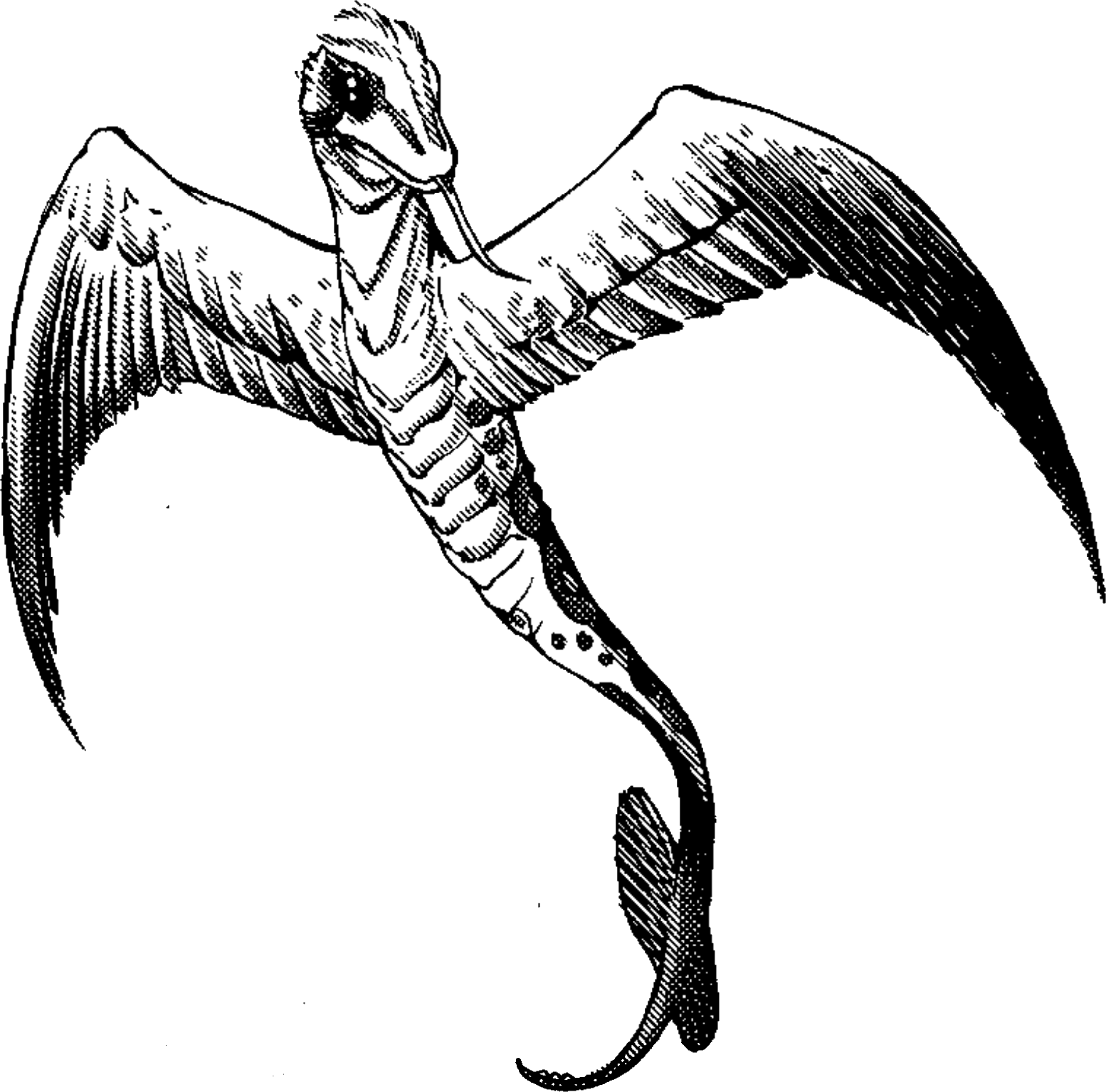 Winged serpent | Forgotten Realms Wiki | Fandom