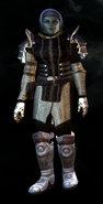 A gray orc doomguide wearing the armor of her order.