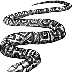 category venomous creatures forgotten