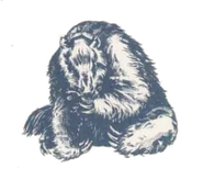 A megatherium grooming itself