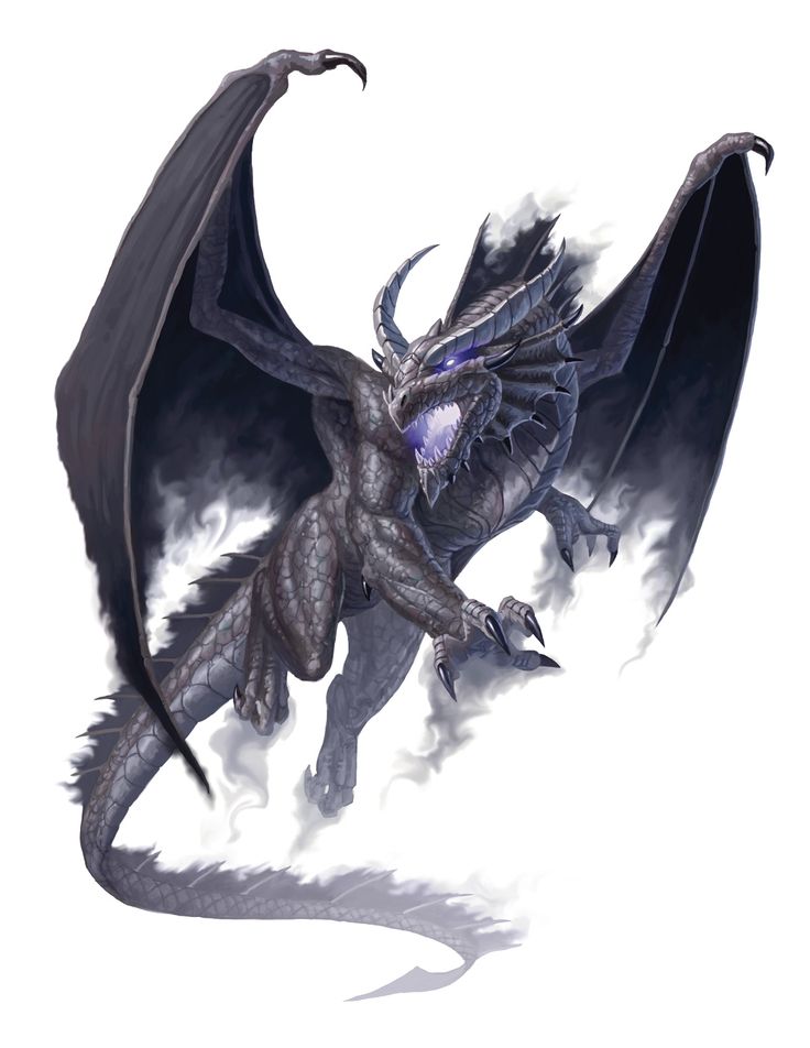 shadow dragon