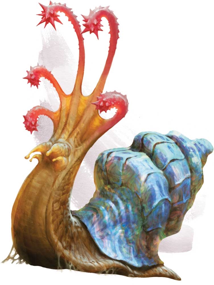 Flail snail | Forgotten Realms Wiki | Fandom