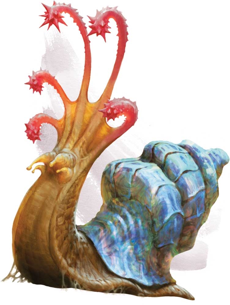 Featured image of post View 25 Flail Snail 5E Shield