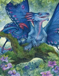 Faerie Dragon (5e Race) - D&D Wiki