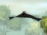 Volo (familiar)