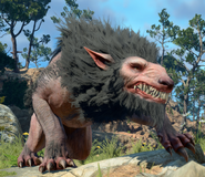 A worg from the Western Heartlands.