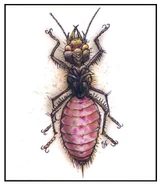 Abyss ant 2e.png (428 KB)