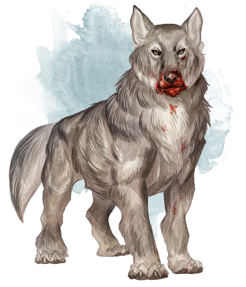 A dire wolf was an ancient dire version of a grey wolf, being a larger and ...