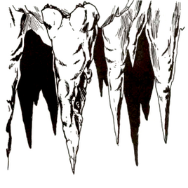 2e