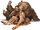 Brown bear