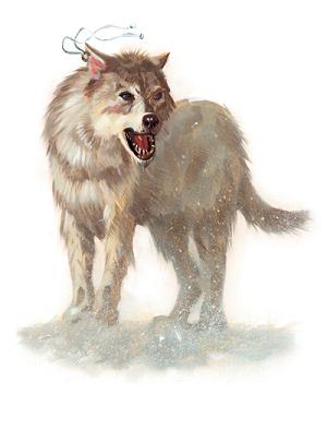 Love winter bites wolves What Do